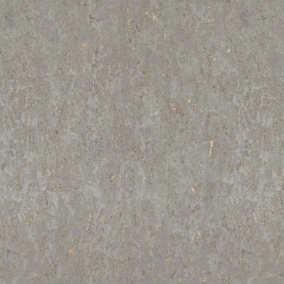 Обои Rasch 977424 Metal Spirit флиз. 1,06Х10м