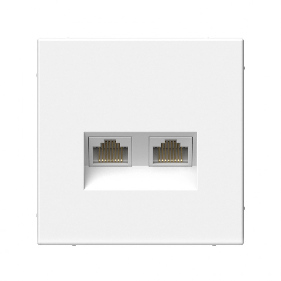 Розетка ARTGALLERY комп. 2-я RJ45+RJ45 кат.6А мех.белый
