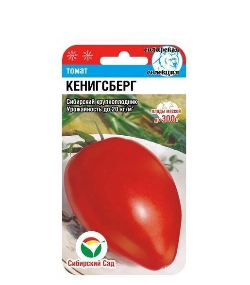 Томат Кенигсберг Сиб. сад Ц