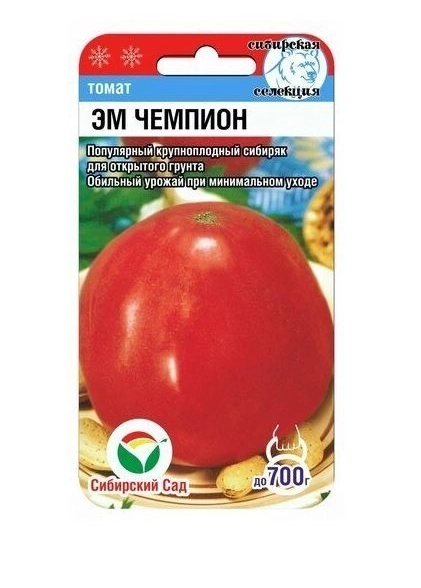 Томат Эм Чемпион СибСад Ц
