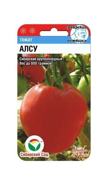 Томат Алсу СибСад Ц