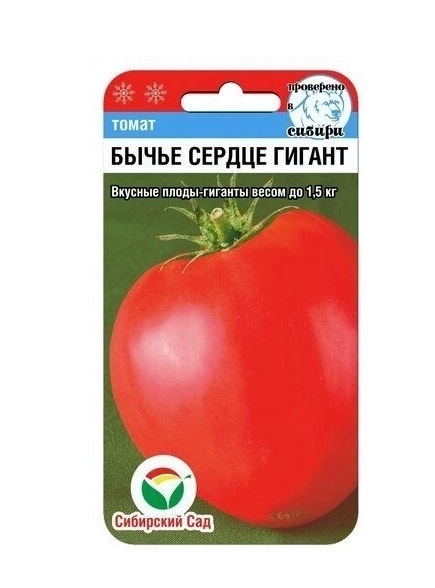 Томат Бычье сердце Гигант СибСад Ц