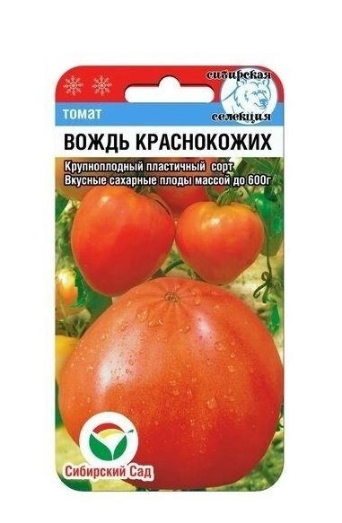 Томат Вождь краснокожих СибСад Ц