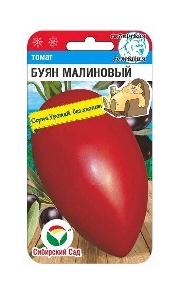 Томат Буян малиновый СибСад Ц