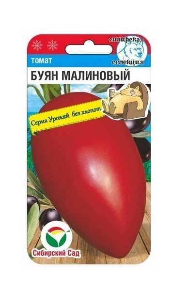 Томат Буян малиновый СибСад Ц