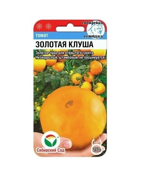 Томат Золотая Клуша сибСад Ц