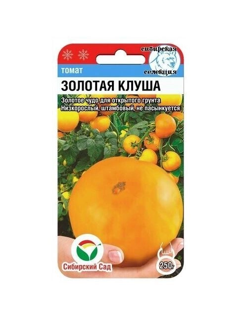 Томат Золотая Клуша сибСад Ц