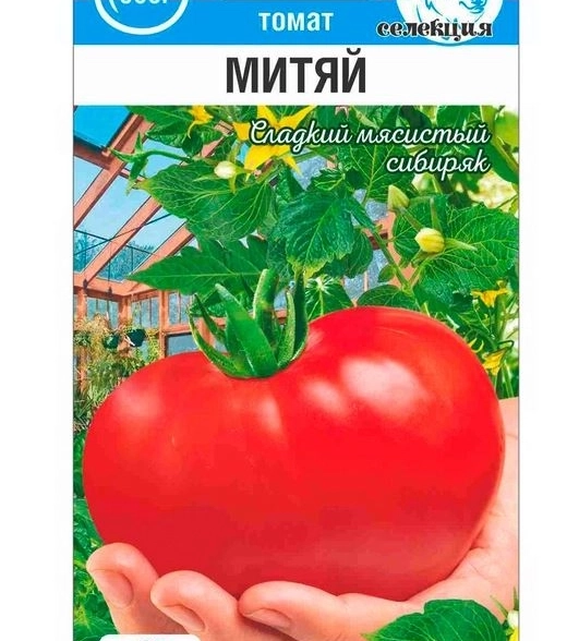 Томат Митяй СибСад Ц