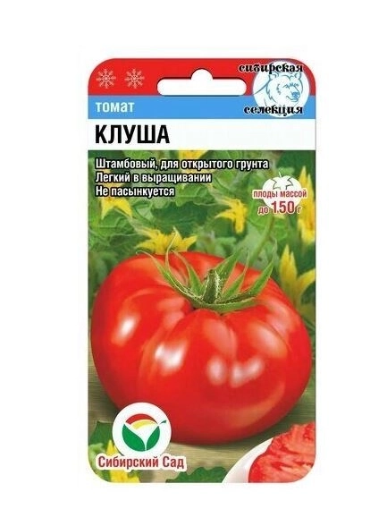 Томат Клуша сибСад Ц
