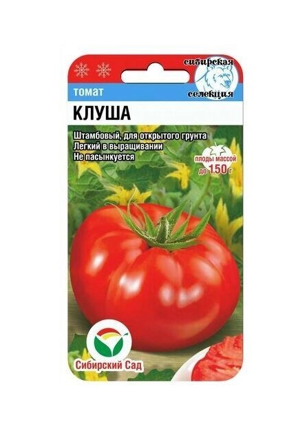 Томат Клуша сибСад Ц