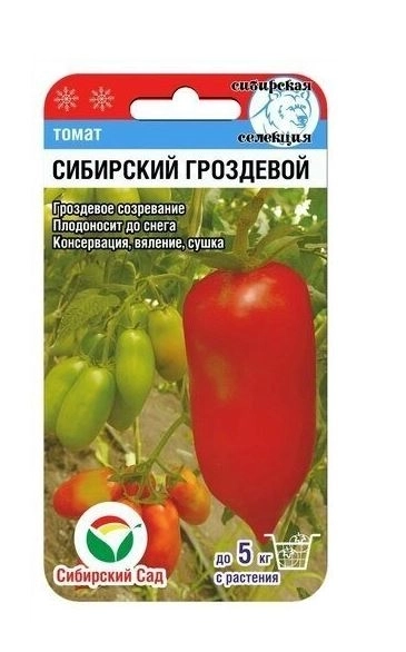 Томат Сибирский гроздевой СибСад Ц