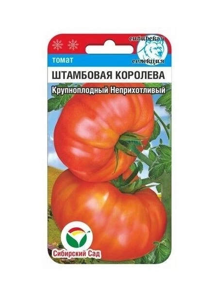 Томат Штамбовая королева Сиб.сад Ц
