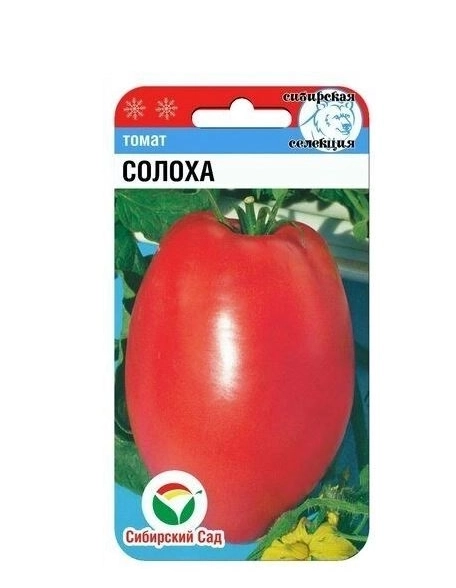 Томат Солоха СибСад Ц
