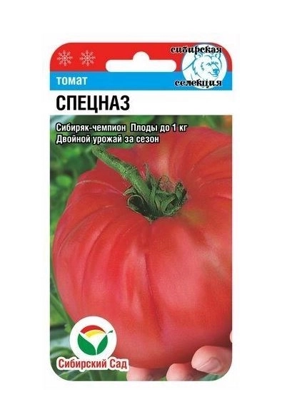 Томат Спецназ СибСад Ц