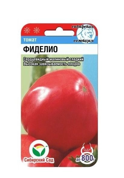 Томат Фиделио СибСад Ц