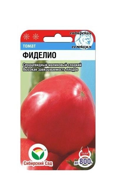 Томат Фиделио СибСад Ц