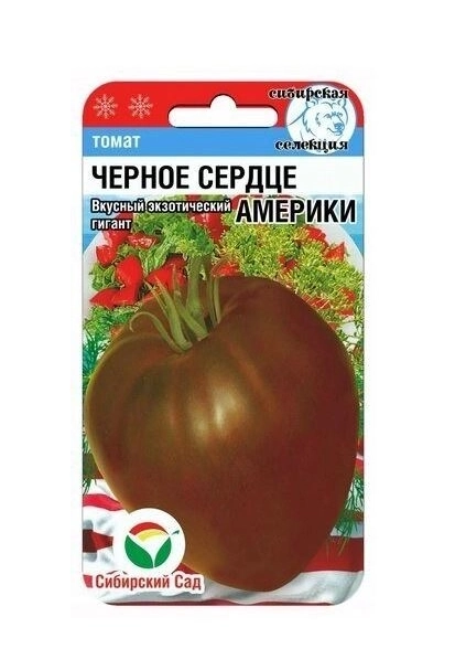 Томат Черное сердце Америки СибСад Ц