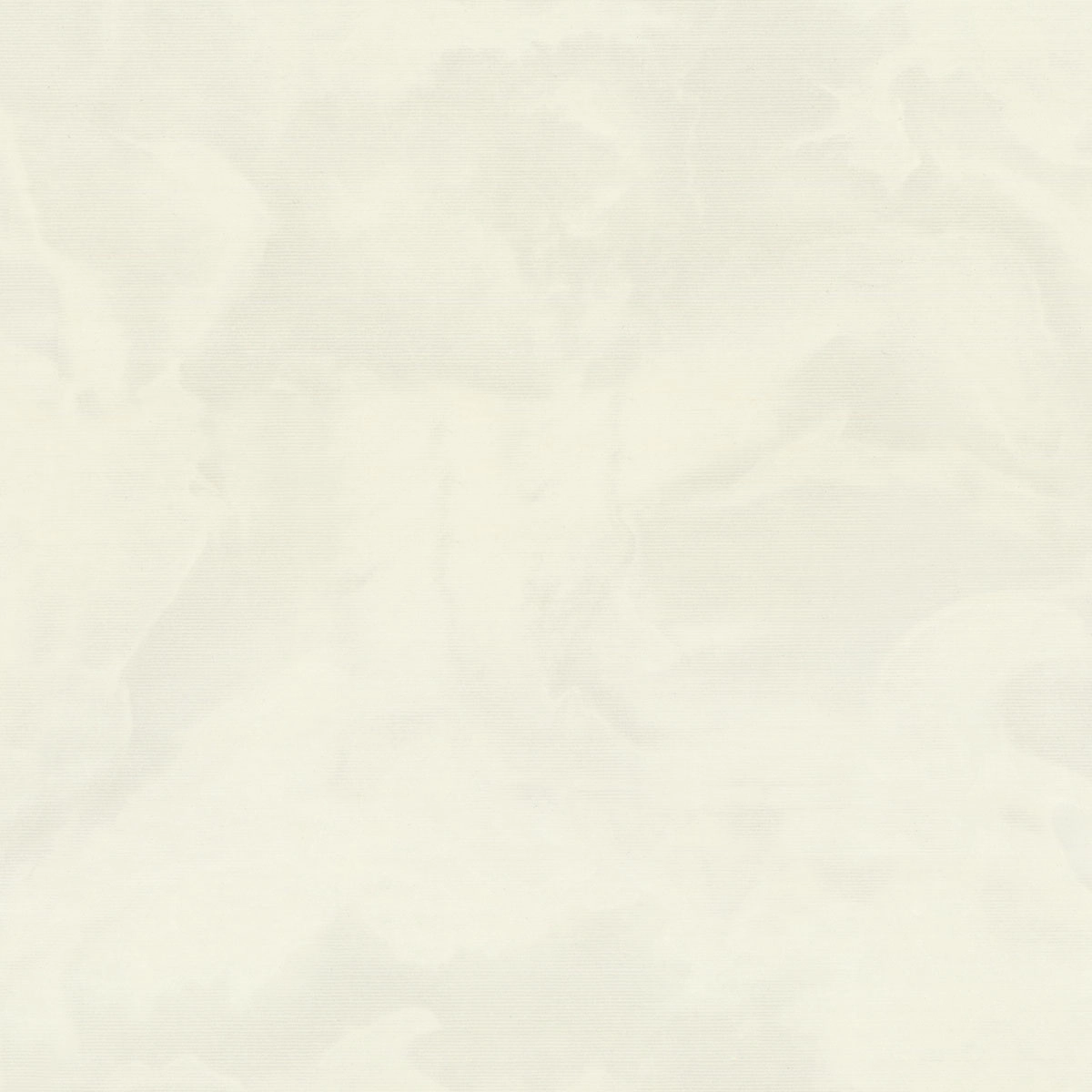 Обои Eurodecor 7325-01 Floravento флиз. 1,06Х10м