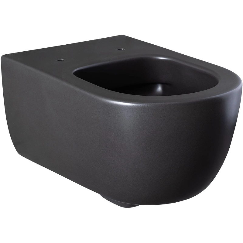 Унитаз подвес Allen Brau PRIORITY 1 4.31001.31 черный 301311-image-1