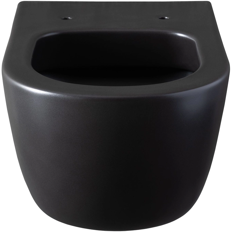 Унитаз подвес Allen Brau PRIORITY 1 4.31001.31 черный 301311-image-2