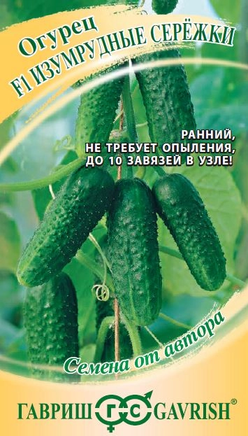 Огурец Изумрудные сережки Гавриш Ц