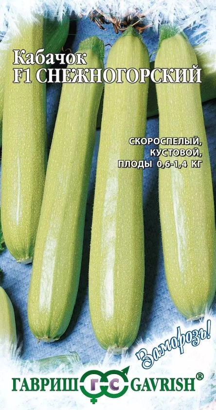 Кабачок Снежногорский Гавриш Ц