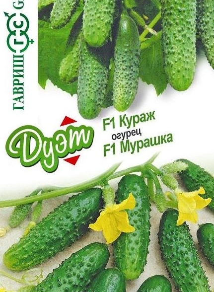 Огурец Дуэт Кураж+Мурашка Гавриш Ц x20