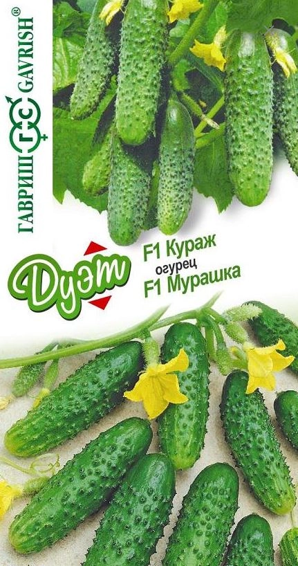 Огурец Дуэт Кураж+Мурашка Гавриш Ц x20