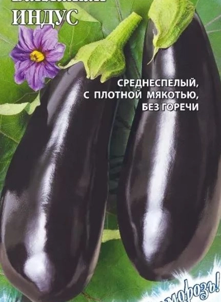 Баклажан Индус Гавриш Ц