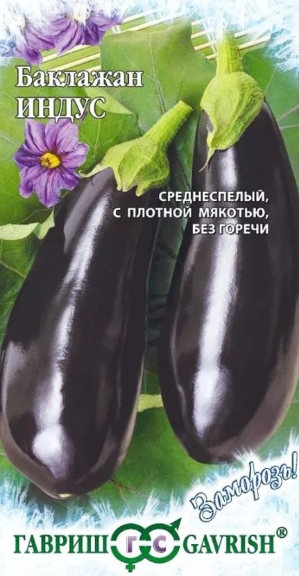 Баклажан Индус Гавриш Ц