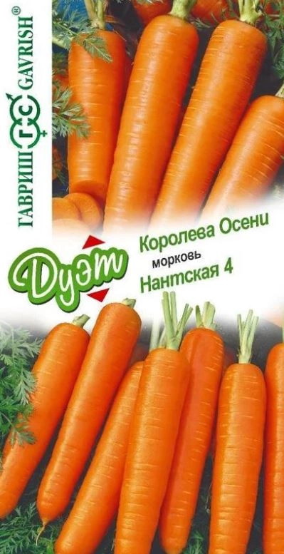 Морковь ДУЭТ Королева Осени+Нантская Гавриш Ц
