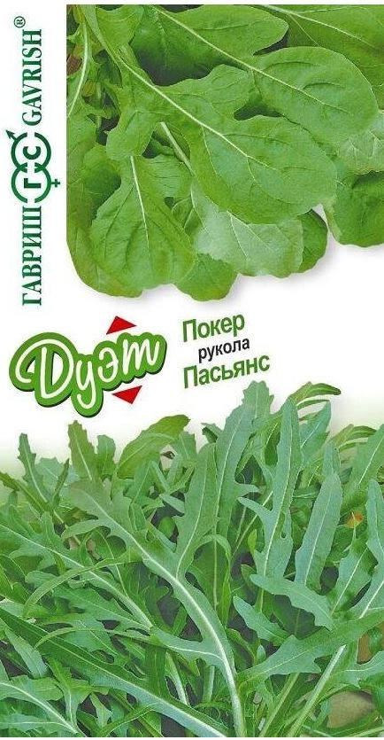 Руккола (индау) ДУЭТ Пасьянс+Покер Гавриш Ц