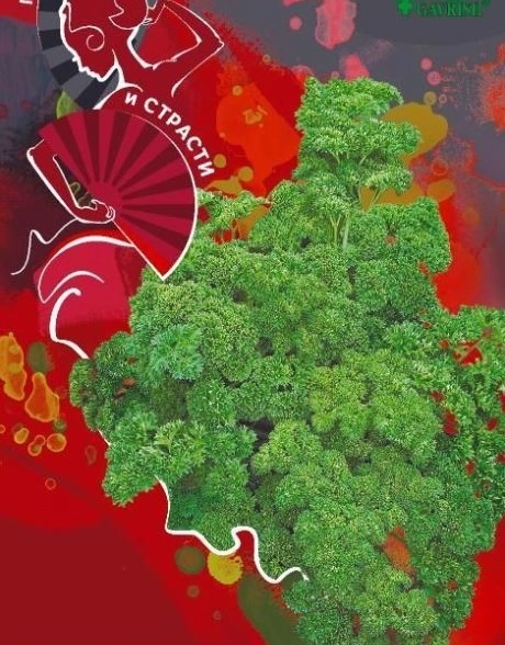 Петрушка кудрявая Славянская (Пряности и страсти) Гавриш Ц
