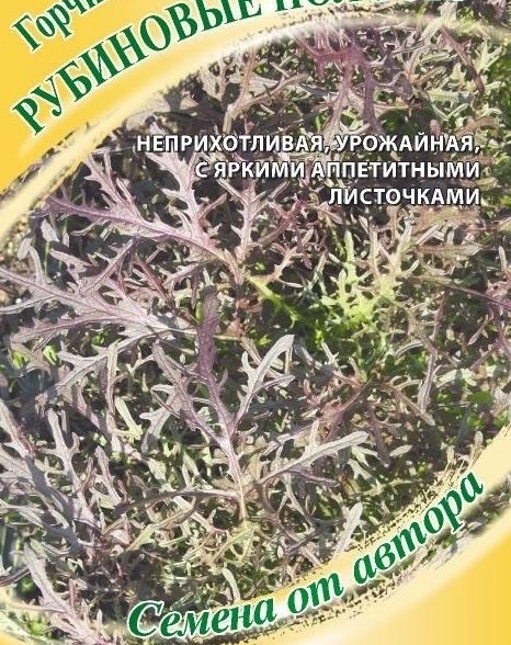Горчица листовая Рубиновые полосы Гавриш Ц