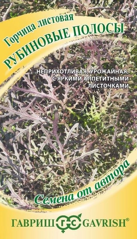 Горчица листовая Рубиновые полосы Гавриш Ц