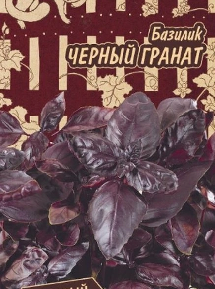 Базилик Черный гранат Гавриш Ц