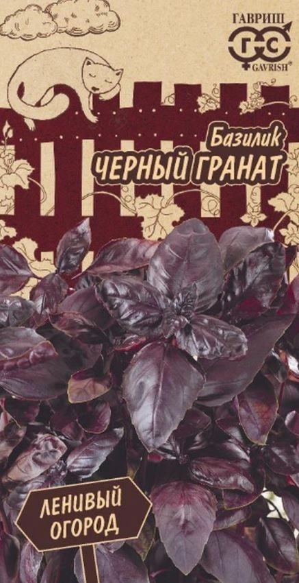 Базилик Черный гранат Гавриш Ц