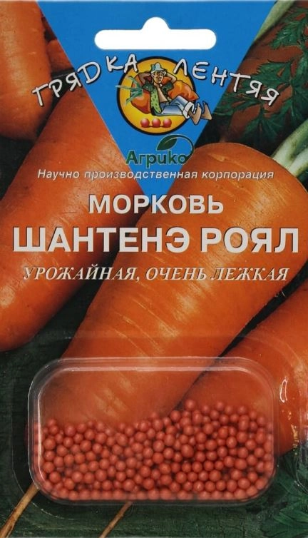 Морковь Шантане роял ГЛ Агрико