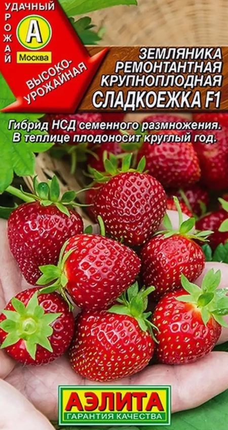Земляника ремонтантная Сладкоежка 10шт Аэлита Ц