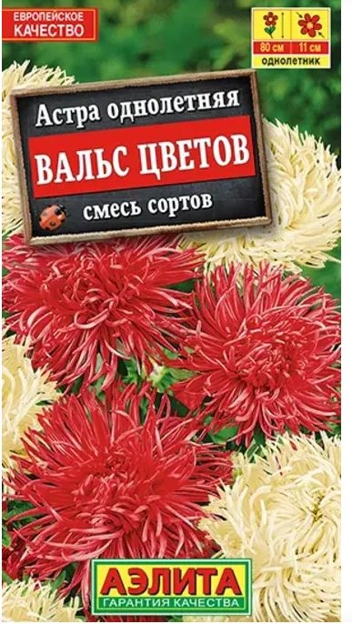 Астра Вальс цветов смесь Аэлита Ц