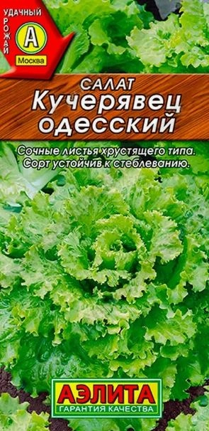 Салат Кучерявец Одесский полукочанный -0.5г*2 Аэлита