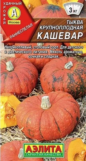 Тыква Кашевар Аэлита Ц