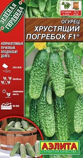 Огурец Хрустящий погребок Аэлита Ц
