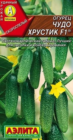 Огурец Чудо хрустик Аэлита Ц