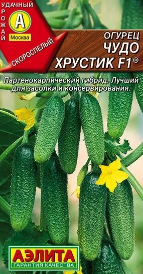 Огурец Чудо хрустик Аэлита Ц