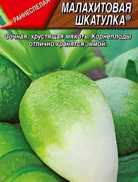 Редька Малахитовая шкатулка кит. Аэлита Ц