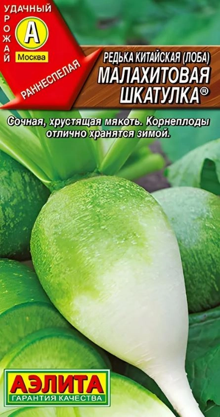 Редька Малахитовая шкатулка кит. Аэлита Ц