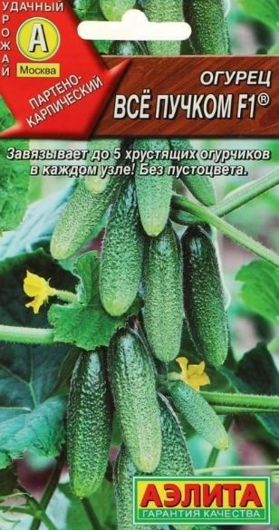 Огурец Все пучком Аэлита