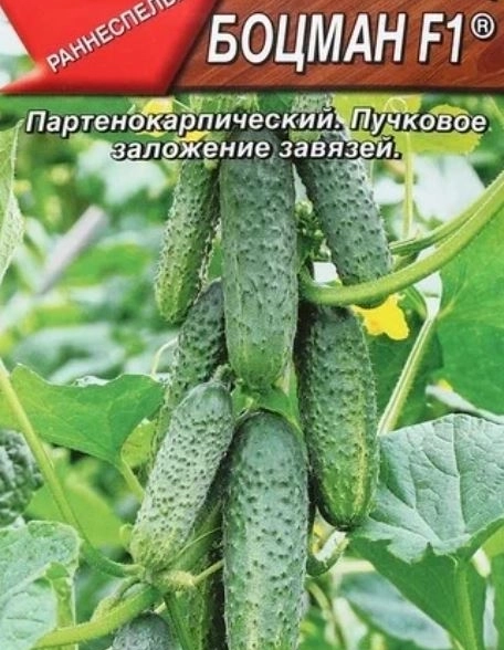 Огурец Боцман Аэлита Ц