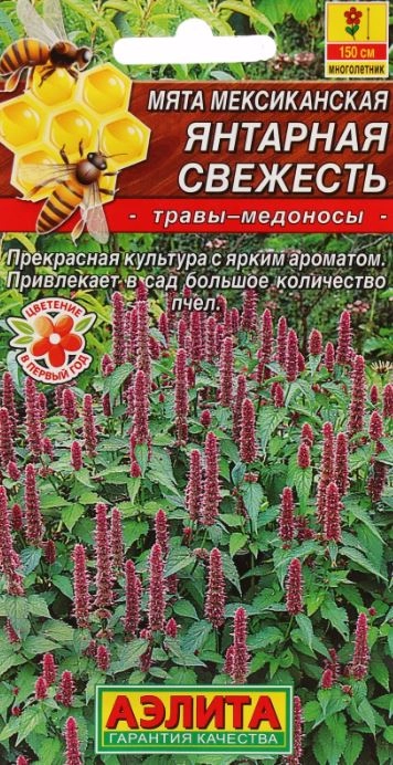 Мята Мексиканская Янтарная свежесть аэлита ц